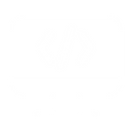 white icon of a computer with code